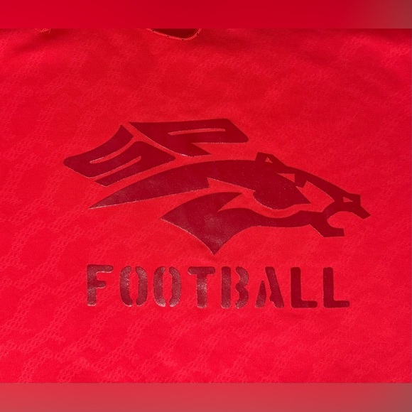 Nike therma fit men’s hoodie sweatshirt SP Stallions high school logo  XXL - Picture 9 of 15